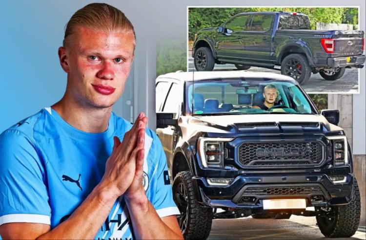 dog, 几天后, 今年 dog, 几天后, 今年