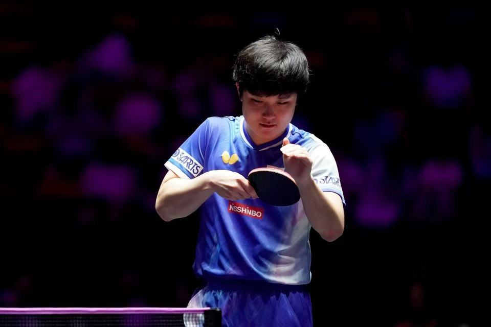 薛飞本身人 薛飞本身人